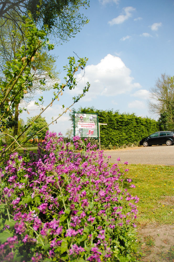 Bed and breakfast De Kreitsberg 3*